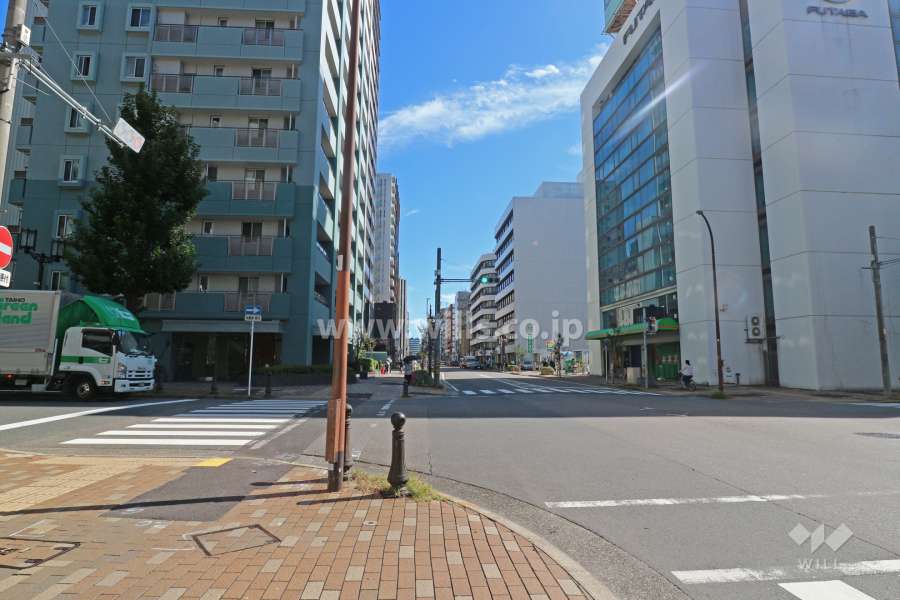 敷地南側の前面道路（西側から）