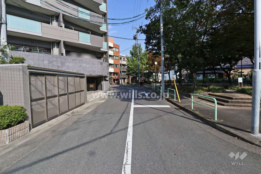 敷地北側の前面道路（西側から）