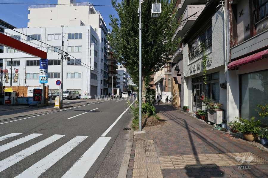 敷地西側の前面道路（南側から）