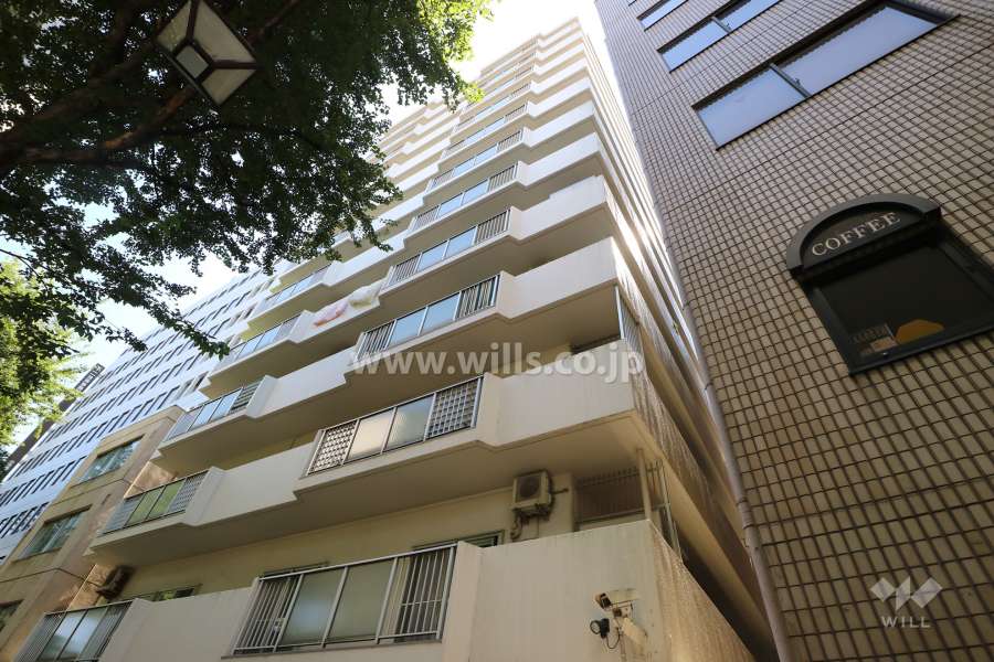 日商岩井丸の内ハイツの外観（北西側から）