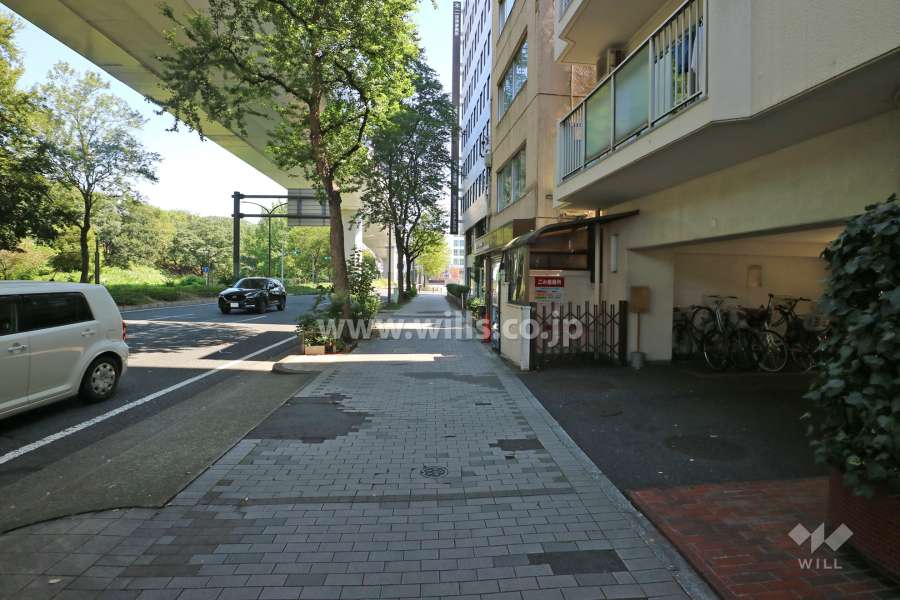 敷地の北側前面道路（西側から）