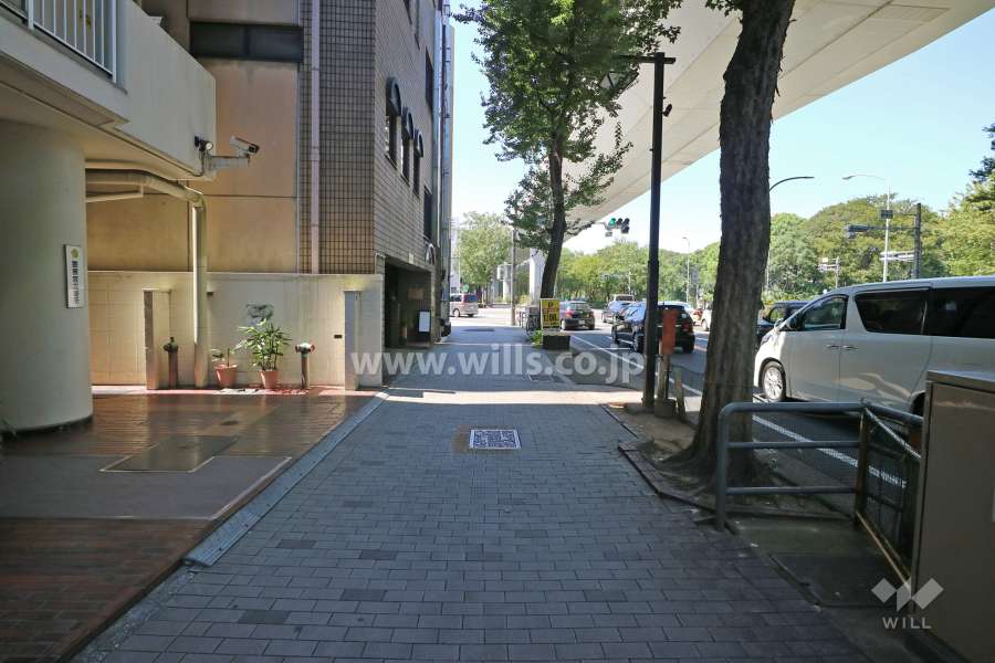 敷地の北側前面道路（東側から）