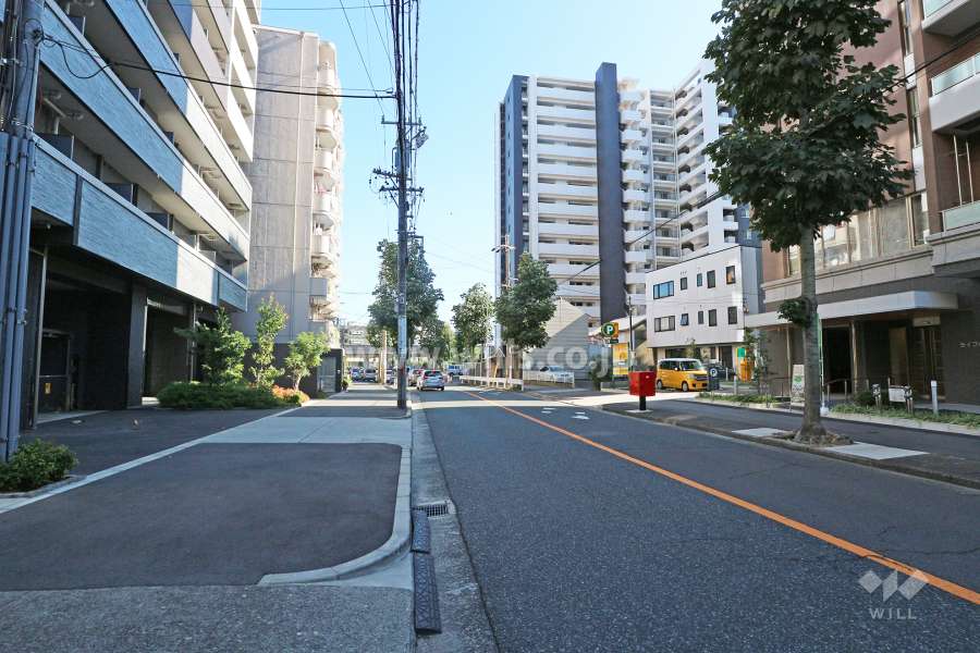 敷地南西側の前面道路（北西側から）