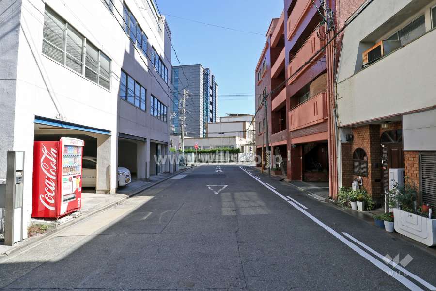 敷地北側の前面道路（西側から）