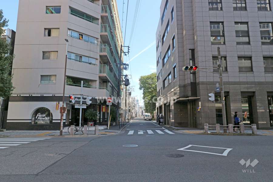 敷地南側の前面道路（西側から）