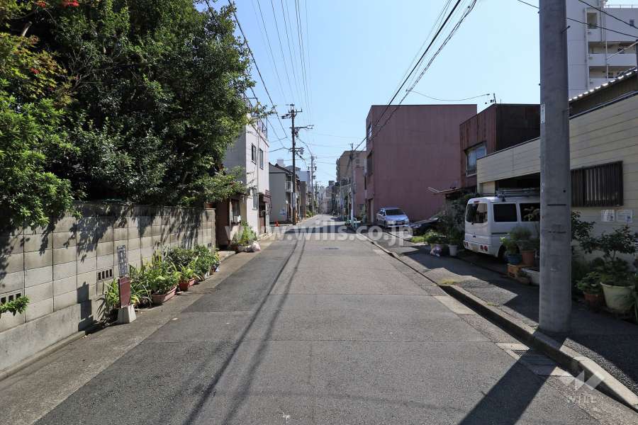 敷地北側の前面道路（西側から）