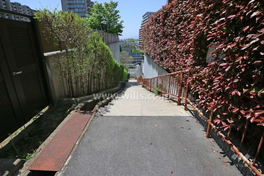 敷地南側の遊歩道