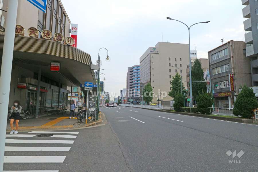 敷地北側の前面道路（西側から）