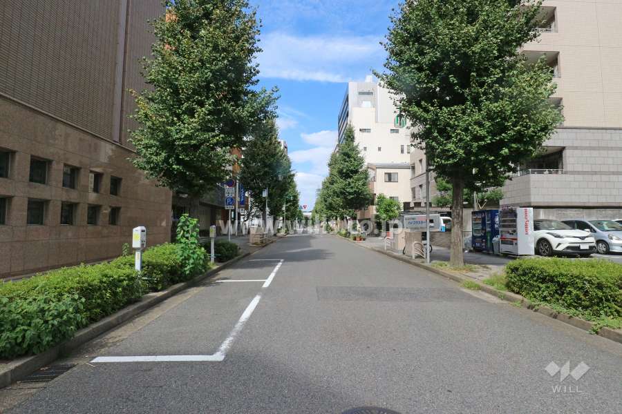 敷地西側の前面道路（南側から）