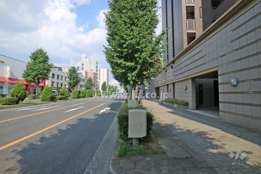 敷地の北側前面道路（西側から）