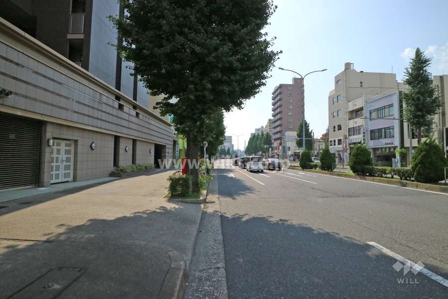 敷地の北側前面道路（東側から）