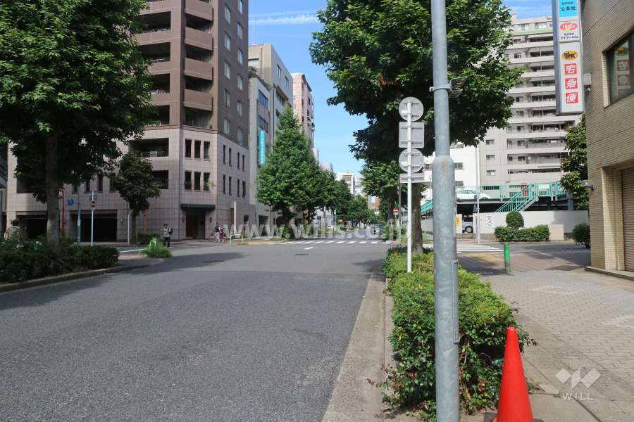 敷地東側の前面道路（南側から）