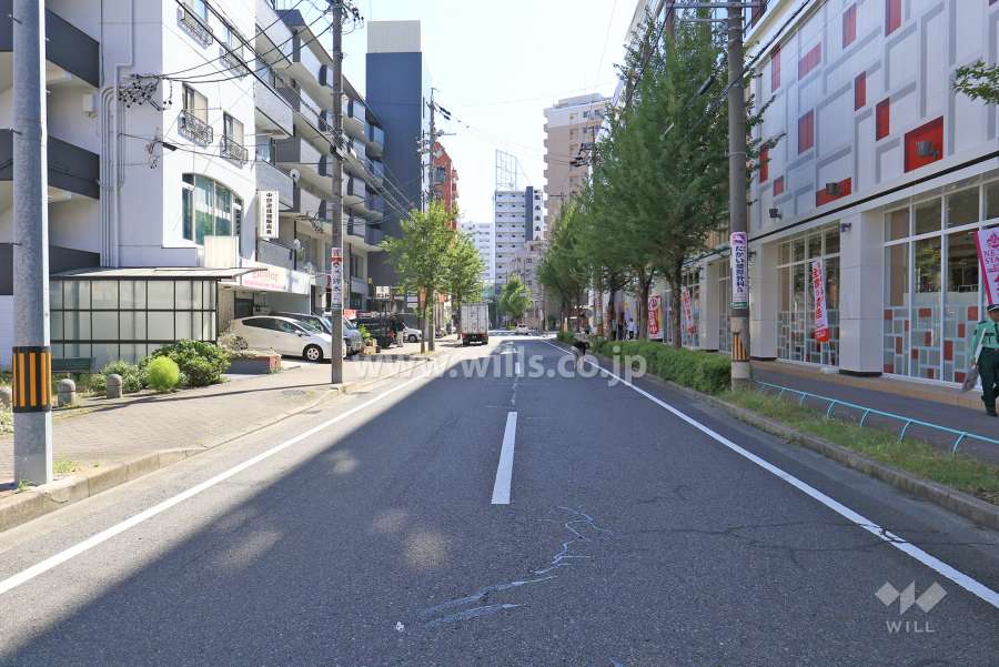 敷地西側の前面道路（北側から）