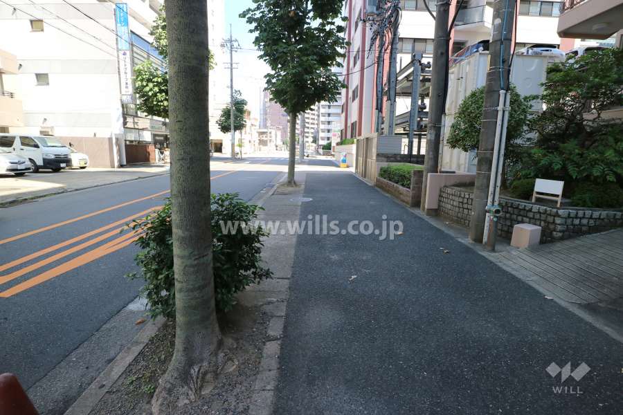 敷地の北側前面道路（西側から）