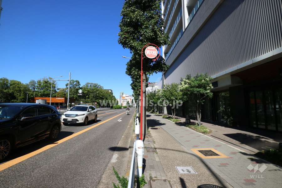 敷地北西側の前面道路（南西側から）