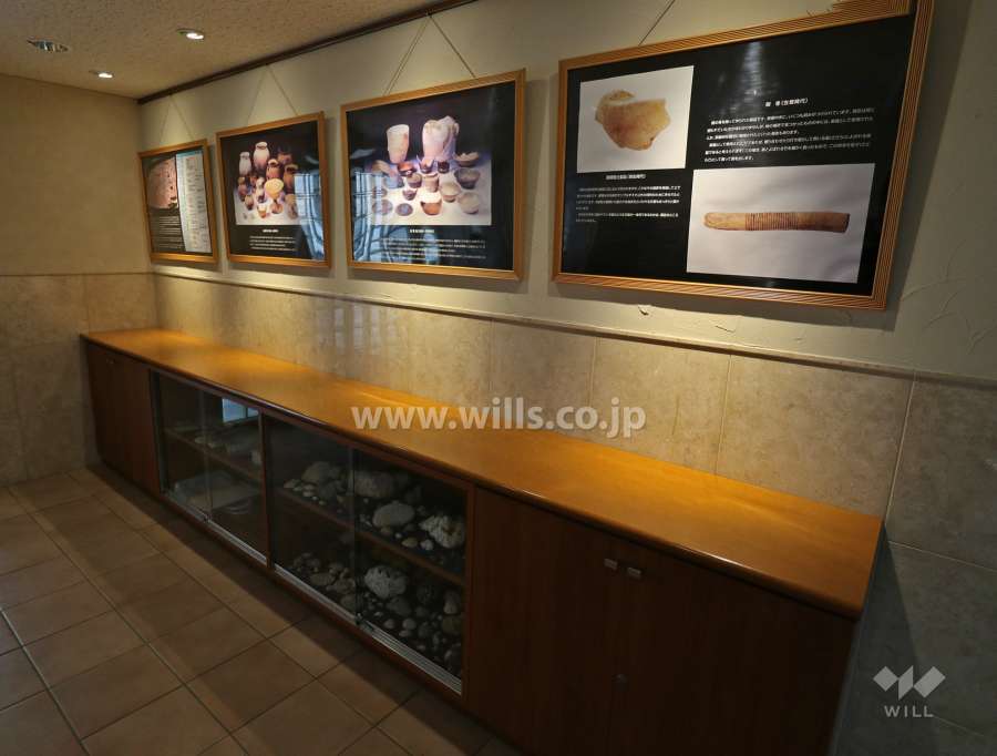 展示資料