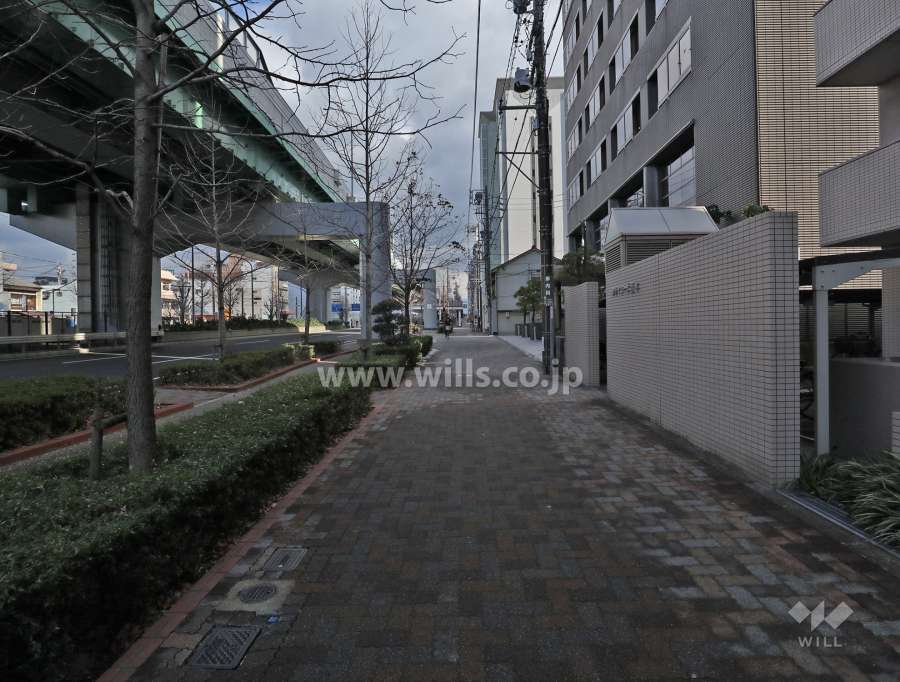 敷地北側の前面道路（西側から）