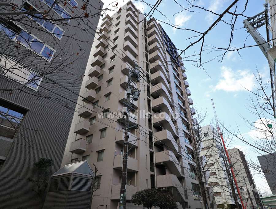 シティコーポ正木の外観（北東側から）