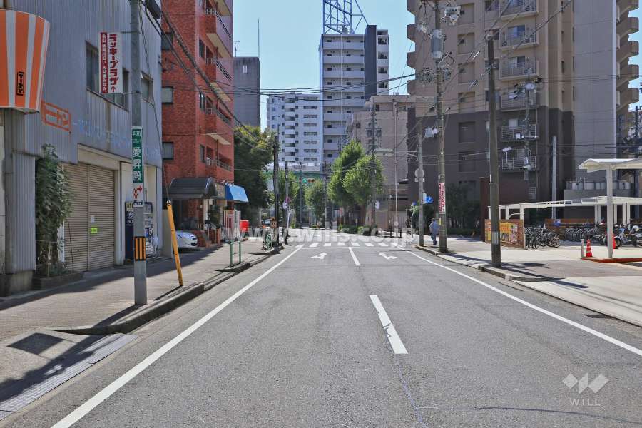 敷地西側の前面道路（北側から）