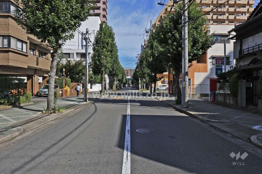 敷地東側の前面道路（南側から）