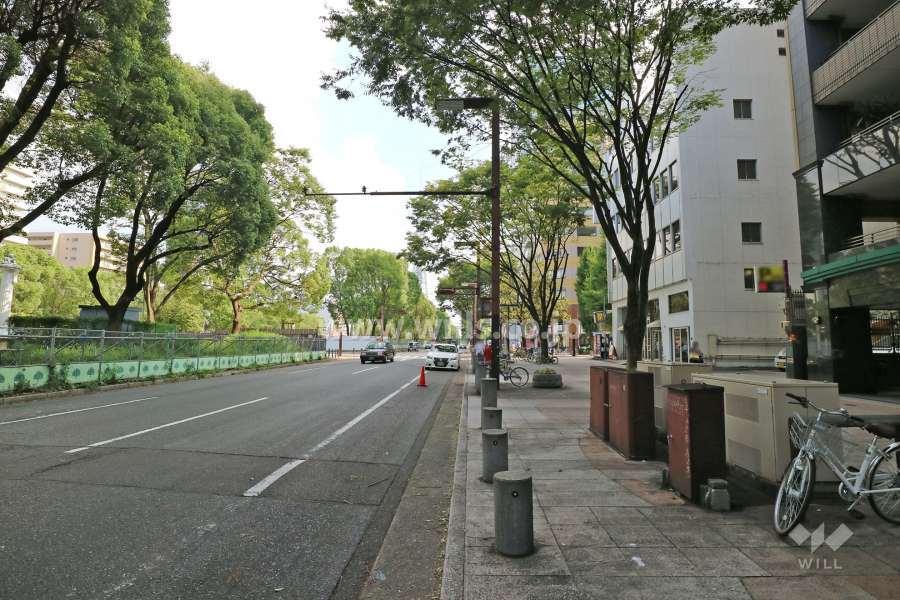敷地東側の前面道路（北側から）