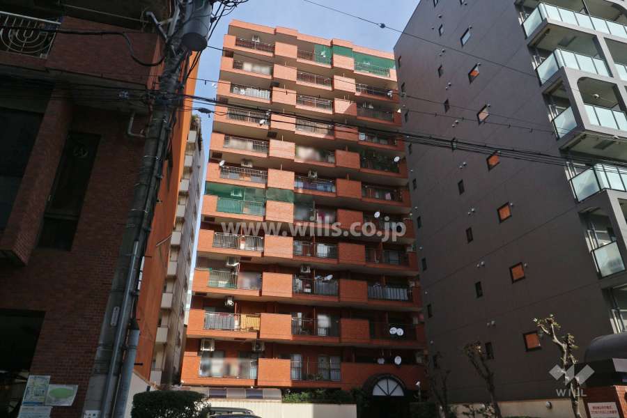 ライオンズマンション久屋通の外観（南側から）