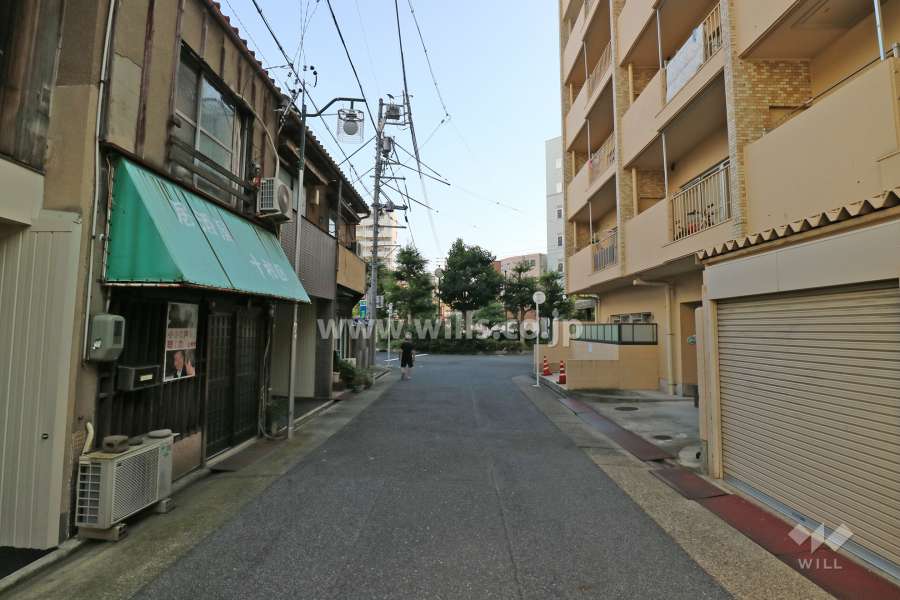 敷地の東側前面道路（北側から）