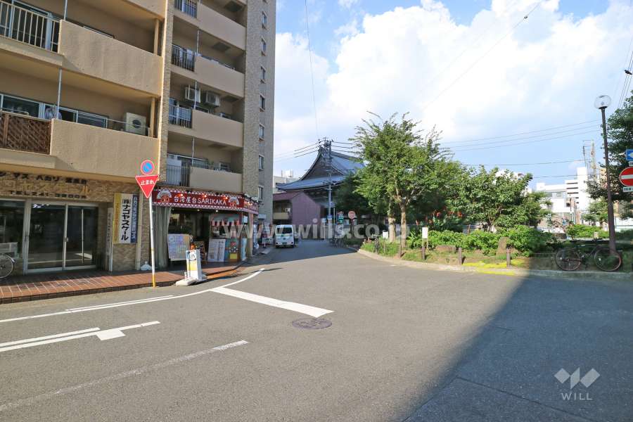敷地の南東側前面道路（南西側から）
