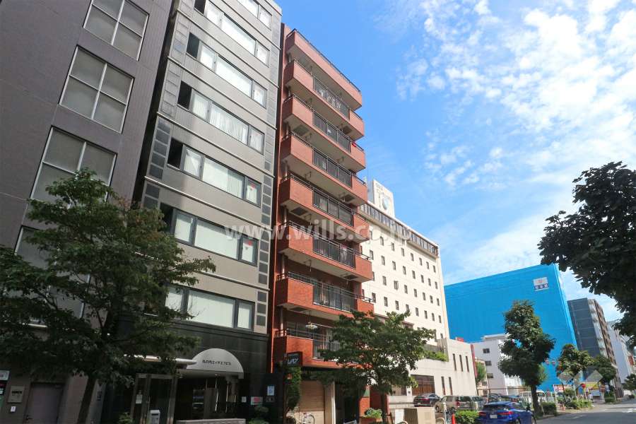 ライオンズマンション丸の内の外観（南西側から）