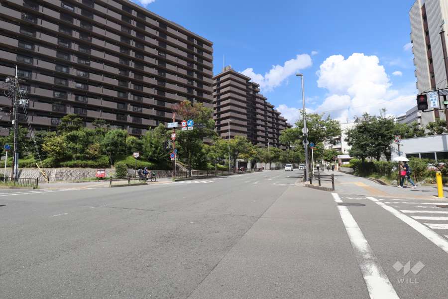 敷地東側の前面道路