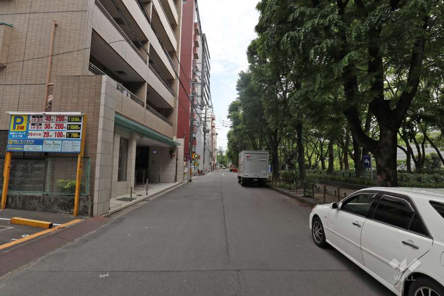 敷地西側の前面道路（北側から）
