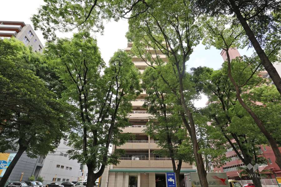 ライオンズシテシィ栄本町通の外観（西側から）