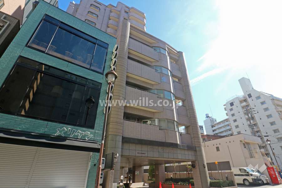 ライオンズシティ栄の外観（北西側から）