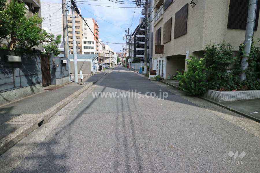 敷地南西側の前面道路（北西側から）