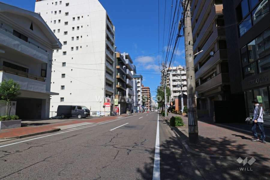 敷地西側の前面道路（南側から）