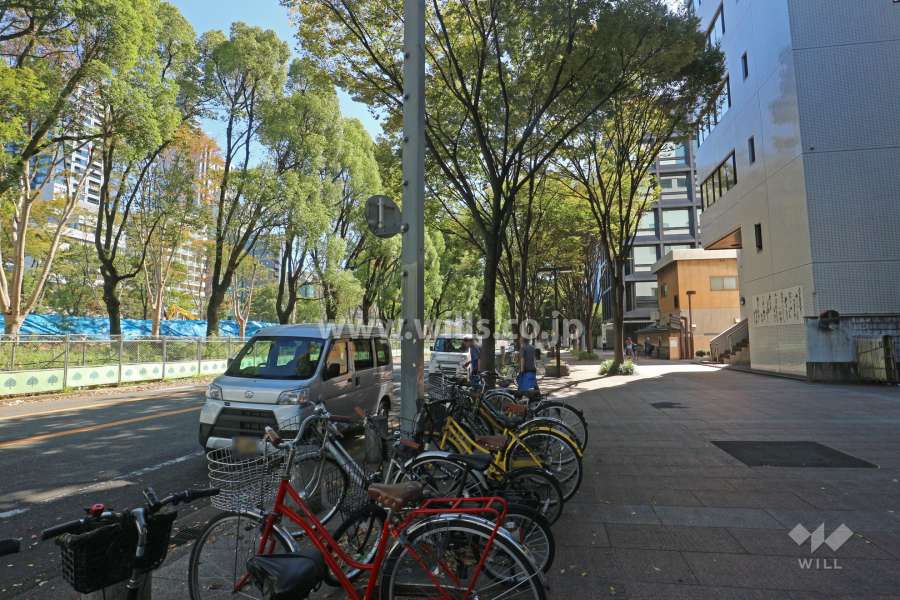 敷地東側の前面道路（北側から）