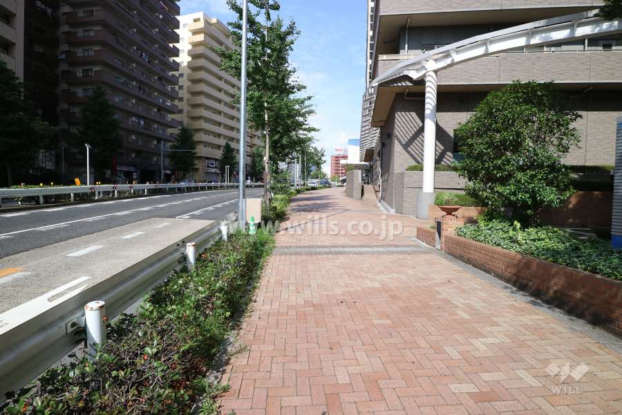 敷地北側の前面道路（西側から）