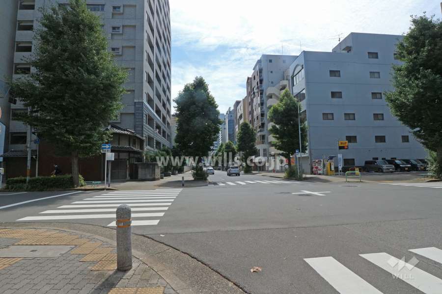 敷地西側の前面道路（北側から）