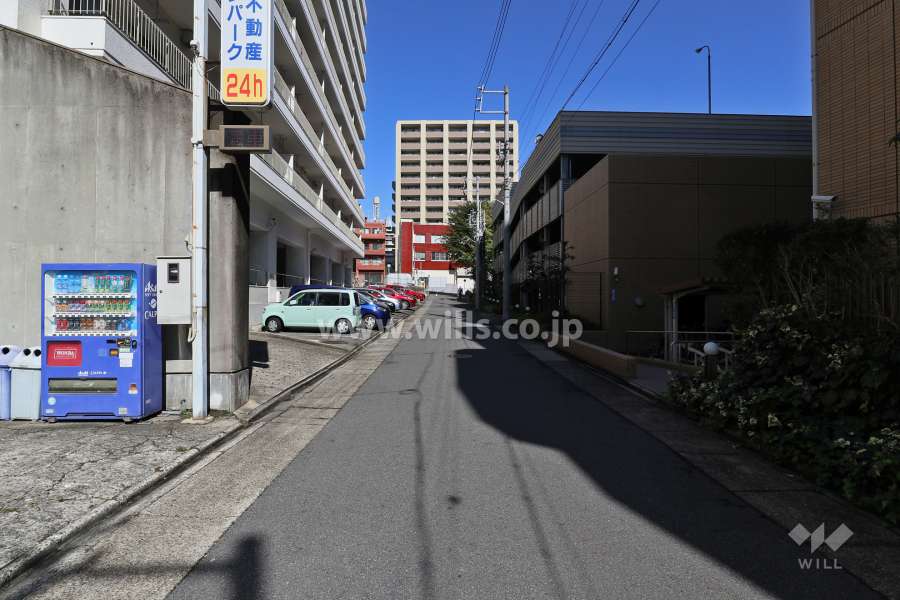 敷地西側の前面道路（南側から）
