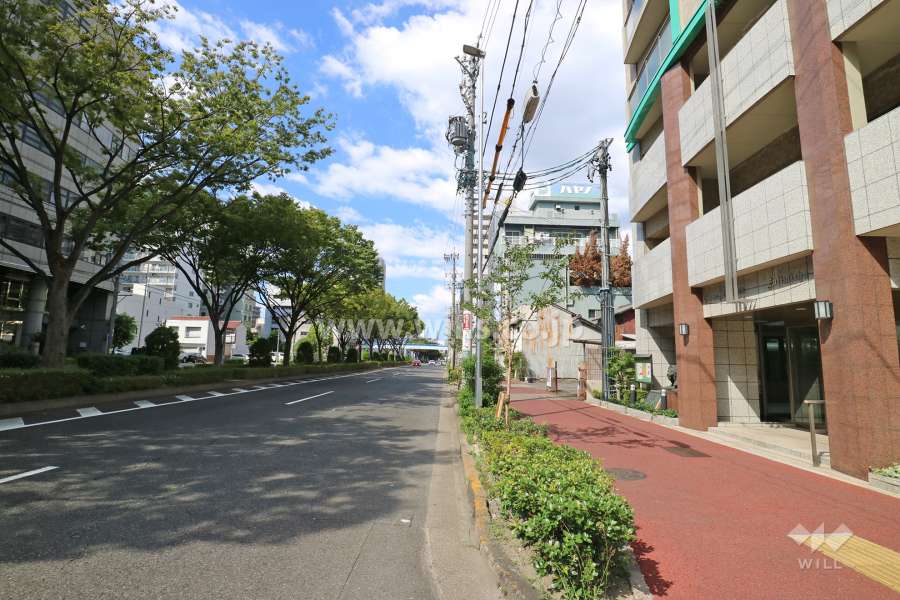 敷地西側の前面道路（南側から）