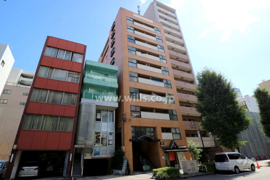 ライオンズマンション丸の内第3の外観（北東側から）