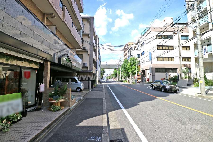敷地東側の前面道路（南側から）