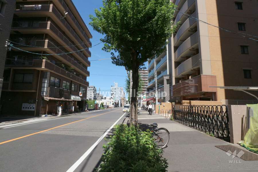 敷地西側の前面道路（南側から）