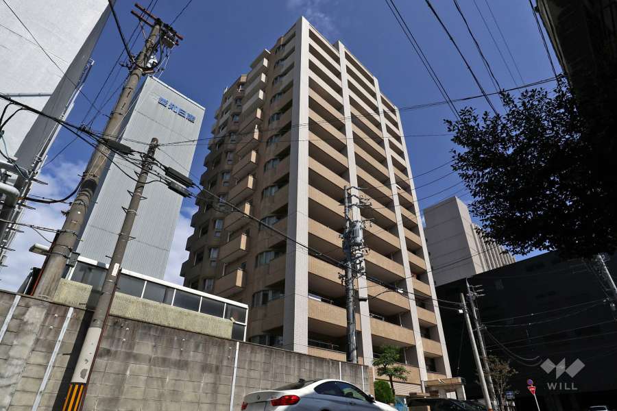 ライオンズシティ千代田の外観（南西側から）