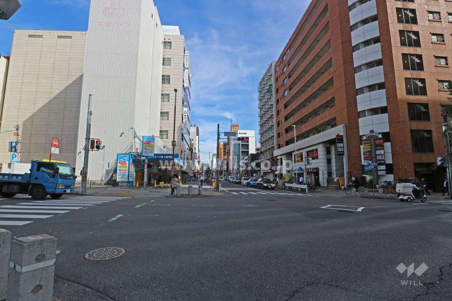 敷地北側の前面道路（西側から）