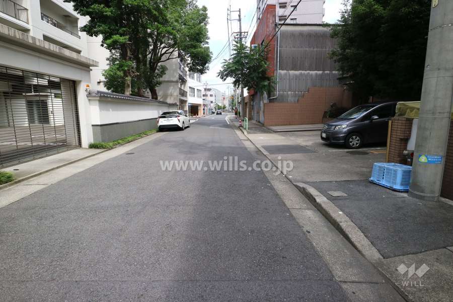 敷地北側の前面道路（西側から）