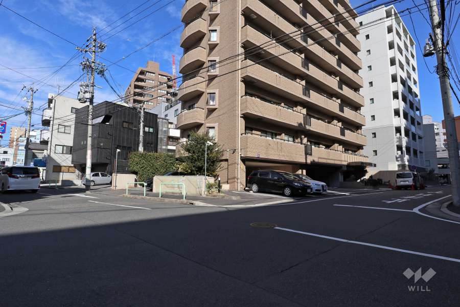 敷地西側の前面道路