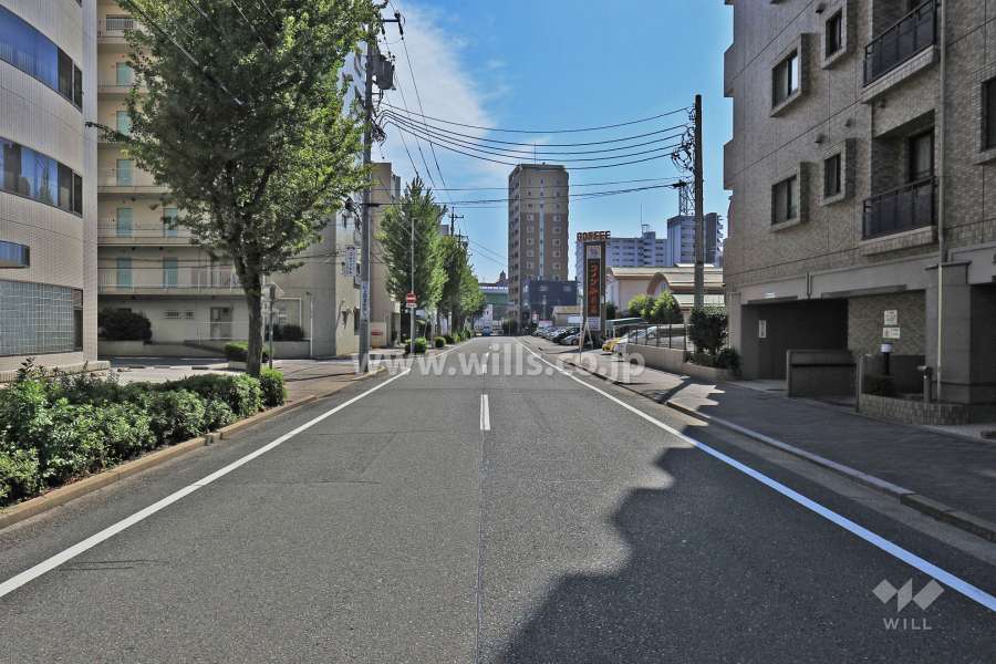 敷地東側の前面道路（北側から）