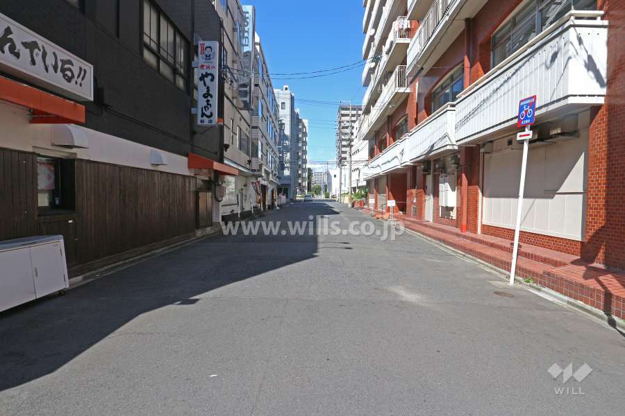 敷地西側の前面道路（南側から）