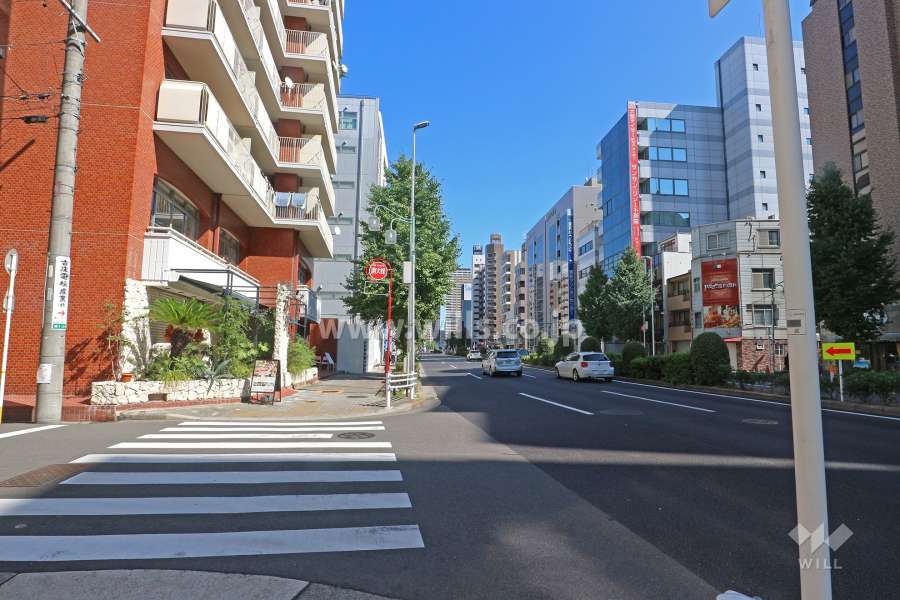 敷地南側の前面道路（西側から）